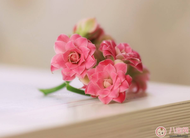 胎教最佳时间是什么时候 准妈妈怎么做胎教对胎儿最好 胎教最佳时间是什么时候 准妈妈怎么做胎教对胎儿最好